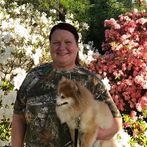 Meet your Posher, Tommie